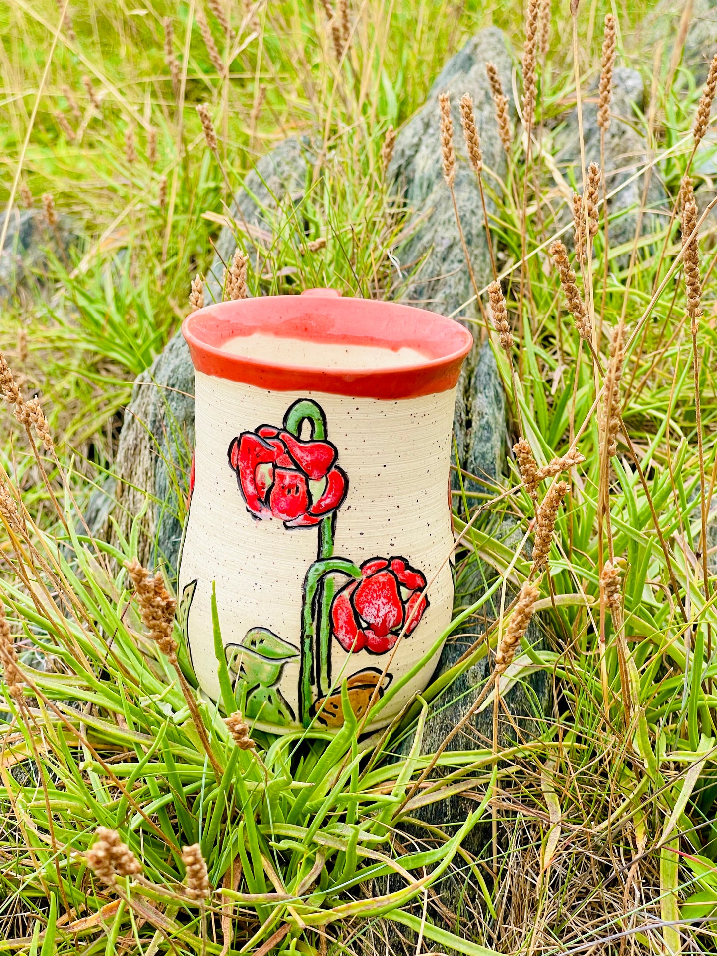 Pitcher plant PREORDER *6-12 WEEKS before shipping*