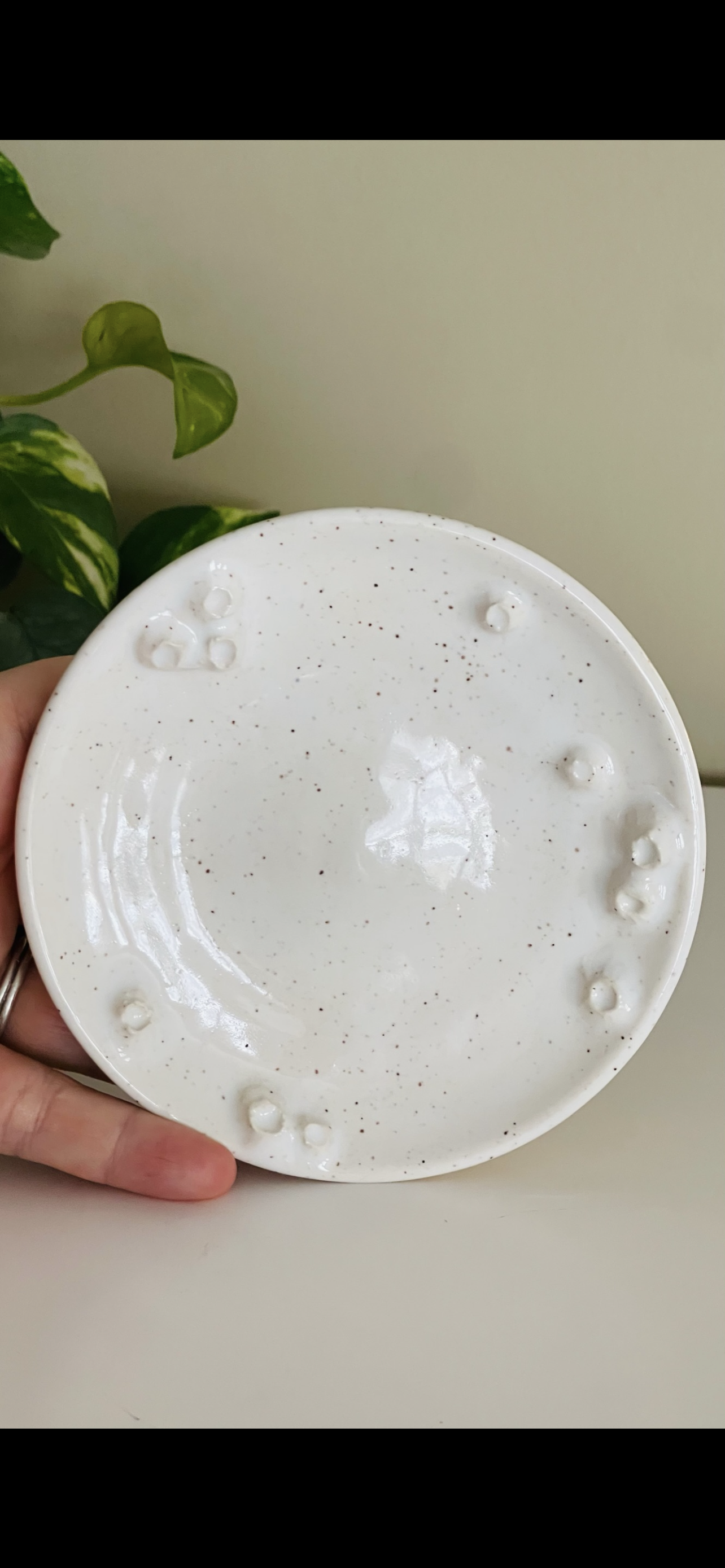 Barnacle dish PREORDER *6-12 WEEKS before shipping*