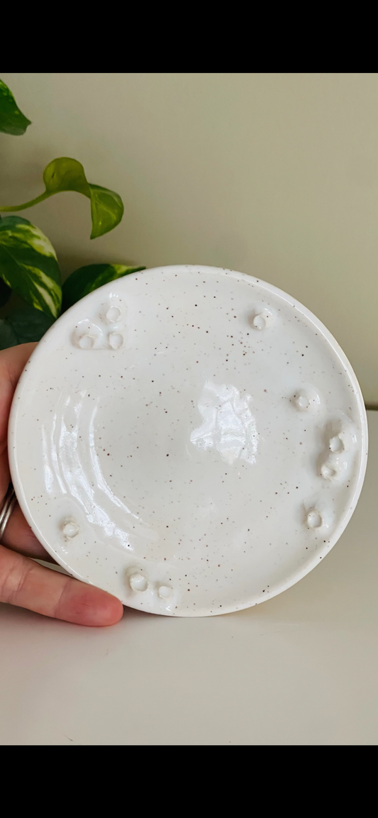 Barnacle dish PREORDER *6-12 WEEKS before shipping*