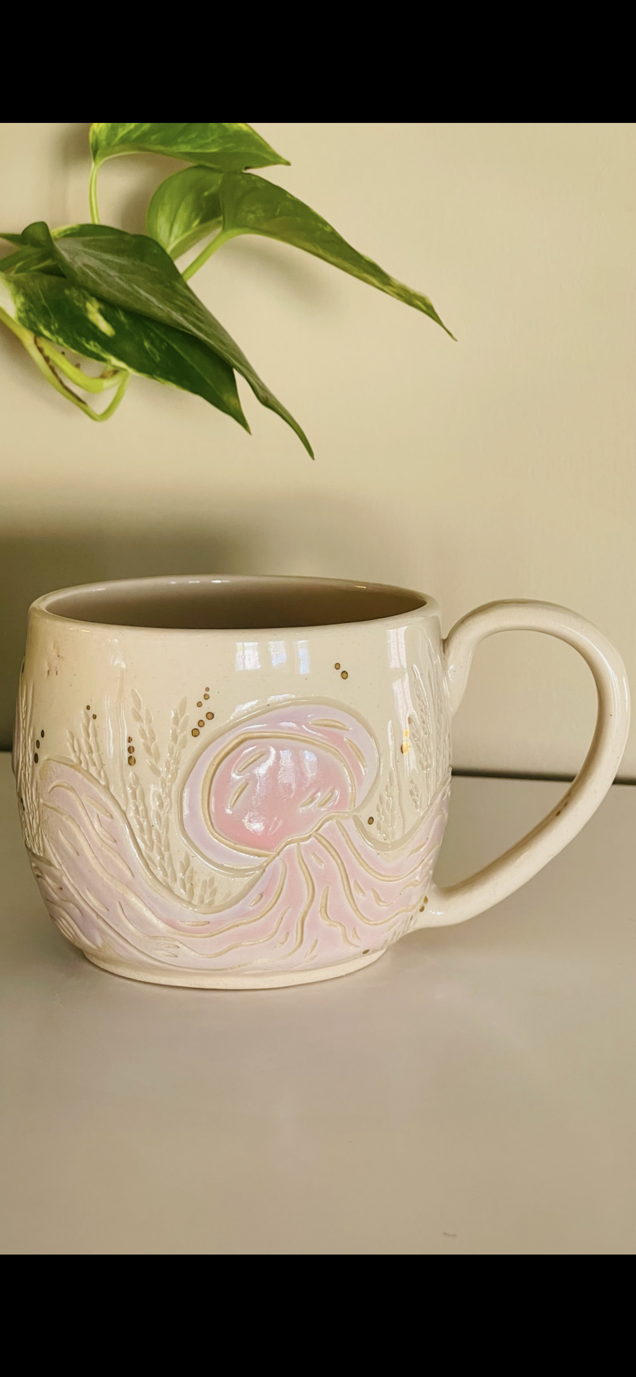 Jellyfish PREORDER *6-12 WEEKS before shipping*