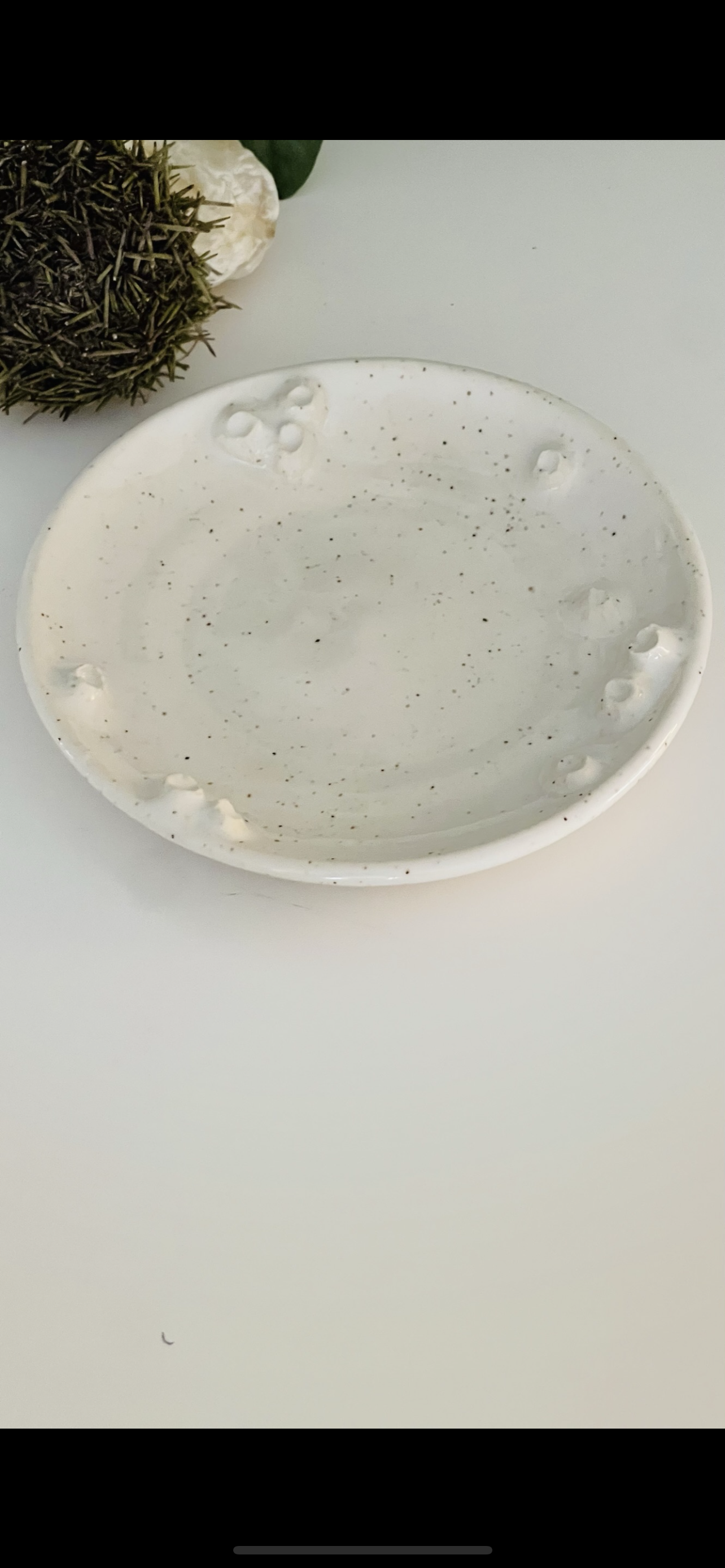 Barnacle dish PREORDER *6-12 WEEKS before shipping*