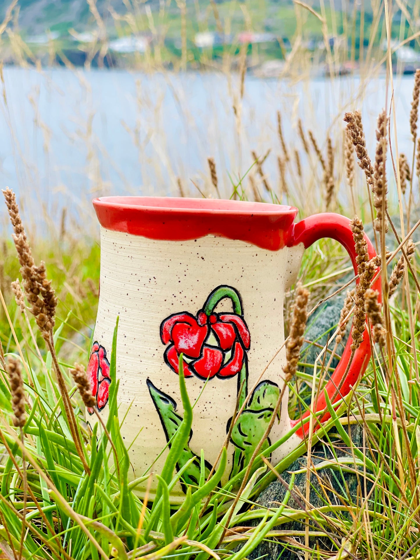 Pitcher plant PREORDER *6-12 WEEKS before shipping*