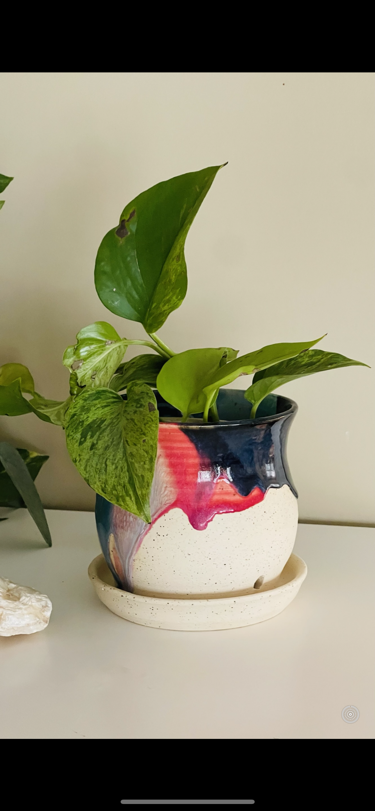 Oh Buoy PREORDER *6-12 WEEKS before shipping*